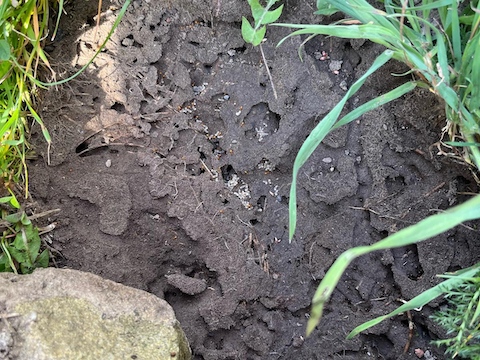 07f5d005-39e0-4b6b-9111-4ddb88f7386c