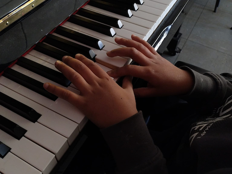 2031f7da-bf98-4b01-b57e-1ec912889295