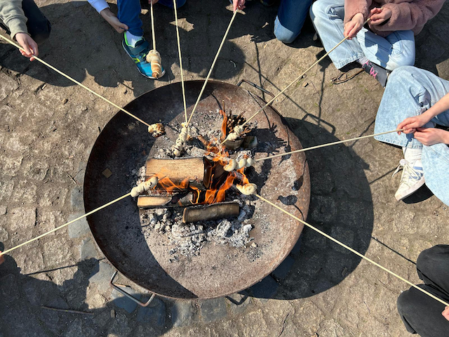 30fbdea5-f430-403c-9aad-7f4591bc6223