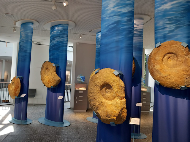 3c509647-09c7-4843-8acb-fba22539cebc