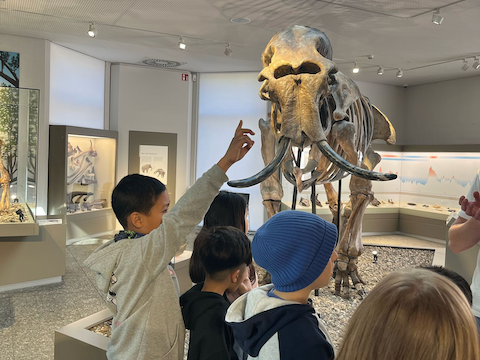 5b5e3c80-c330-43d4-bbcc-0209fad0430c