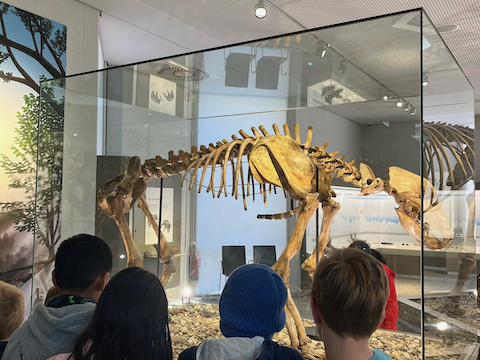 7b93b3cc-da25-41db-9ad7-077cd659d0e1