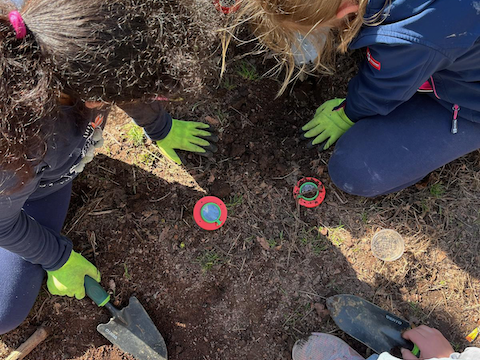 89d41765-efb1-4d10-978e-c19cafa0b722