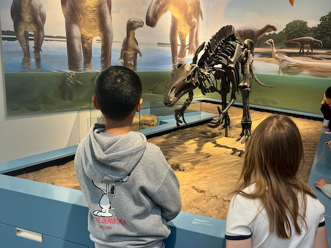 9d7deeae-f5a7-4e21-a9ba-c650904b5a3b