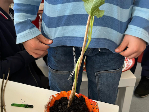 c267ae32-c649-40ce-b005-d087228cc1ef