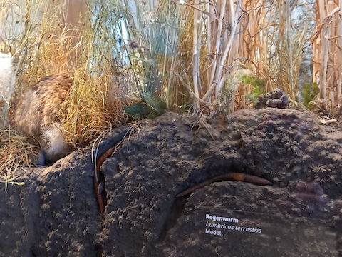 d22a89c7-85b5-4e2b-990b-df20b949132c