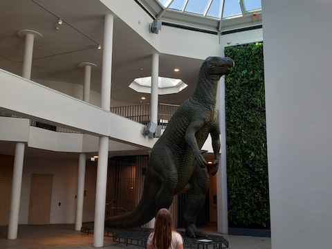 d6c660ce-cfd4-4ab3-9d0c-0bcb1fd91a1a