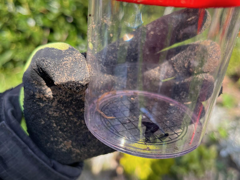 ddbec706-8a2c-4e28-a45e-de8b0e601680